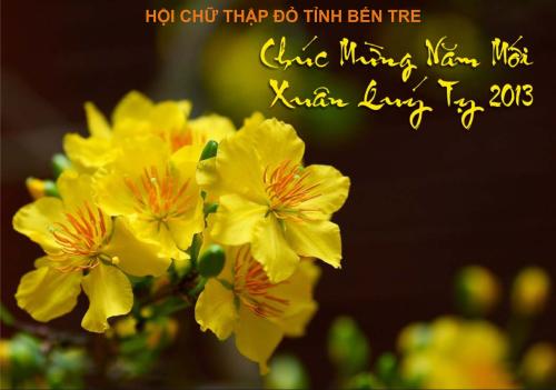 Chúc mừng năm mới - Xuân Quý Tỵ 2013