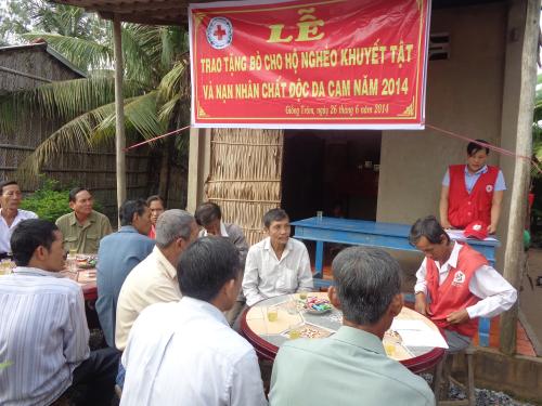 Hội Chữ thập đỏ tỉnh Bến Tre tặng bò cho hộ nghèo có người khuyết tật và nạn nhân chất độc da cam tại huyện Giồng Trôm