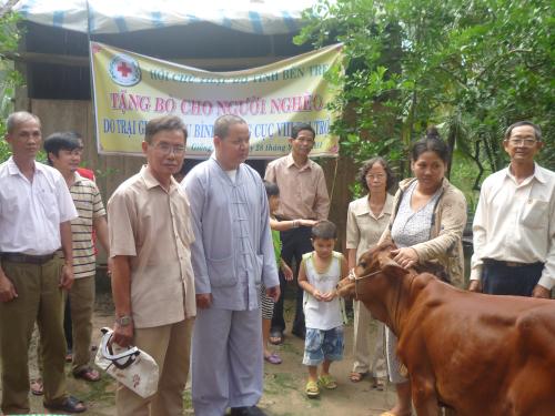 Hội Chữ thập đỏ tỉnh Bến Tre tặng bò sinh sản cho cho hộ nghèo tại xã Châu Hòa huyện Giồng Trôm   
