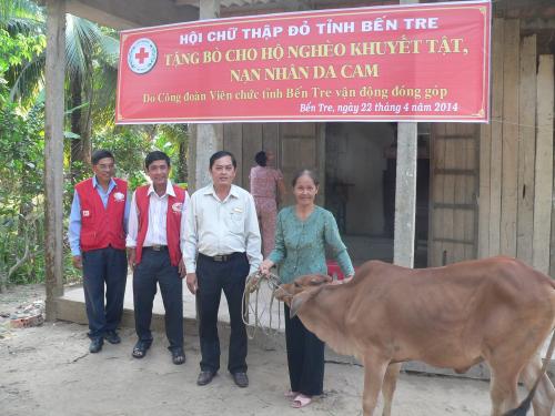 Hội Chữ thập đỏ tỉnh Bến Tre phối hợp Công đoàn viên chức tỉnh tặng bò sinh sản cho cho hộ nghèo có nạn nhân chất độc da cam phường 8 Thành phố Bến Tre 